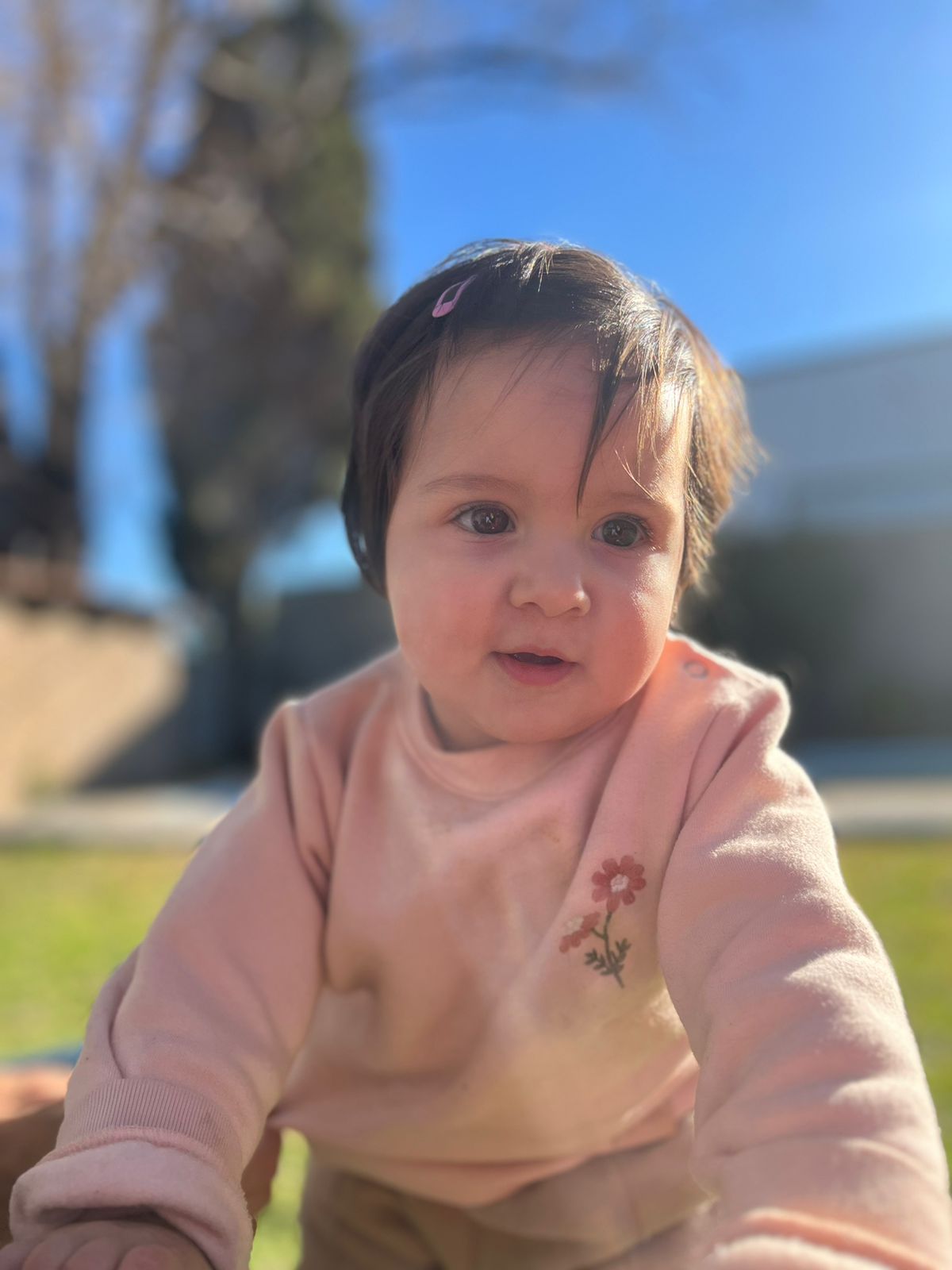 WhatsApp Image 2025-07-20 at 12.21.06(2).jpeg